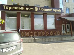 Родной край (Voronezh, Mashinostroiteley street, 3), exhibition center