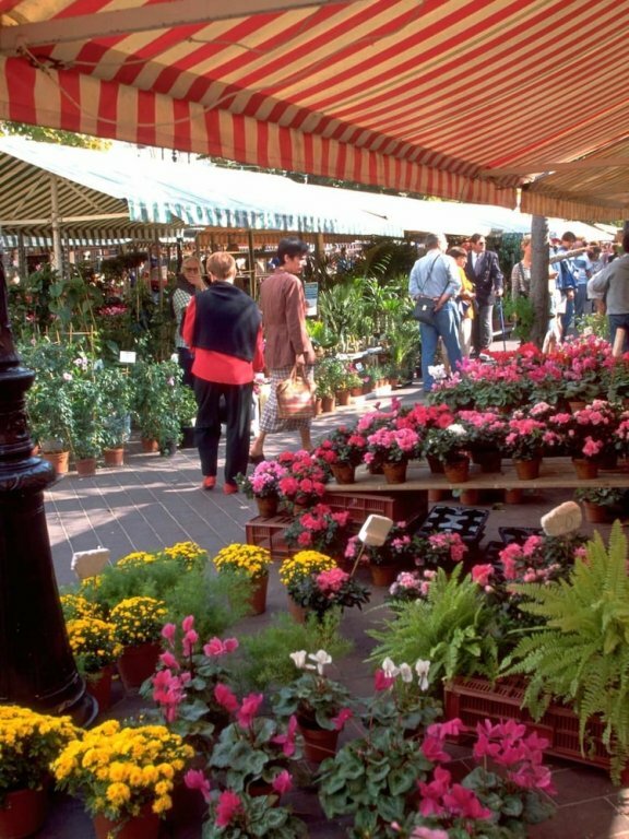 Фото Ibis Nice Centre Notre Dame