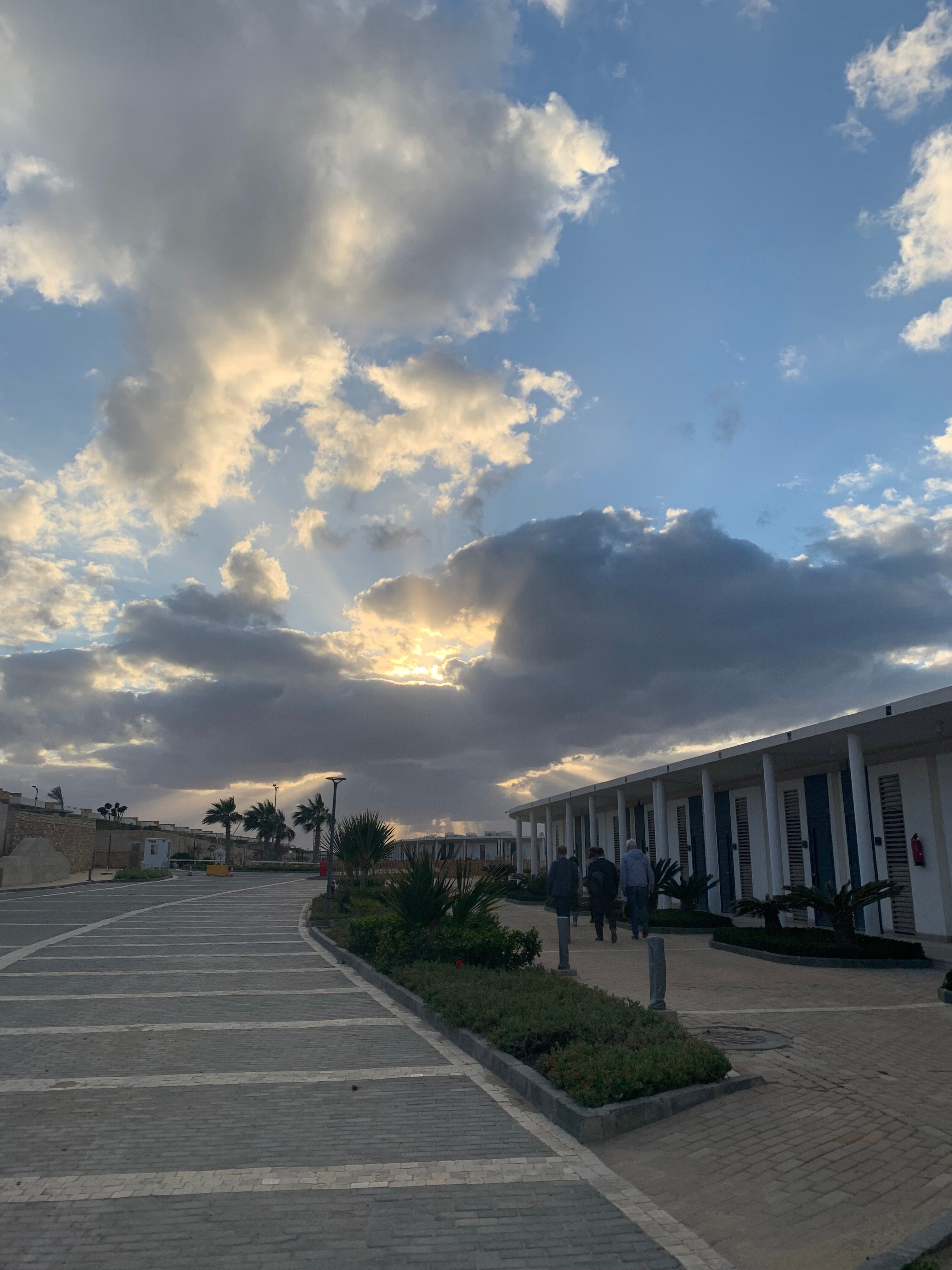 Фото The G Seashell