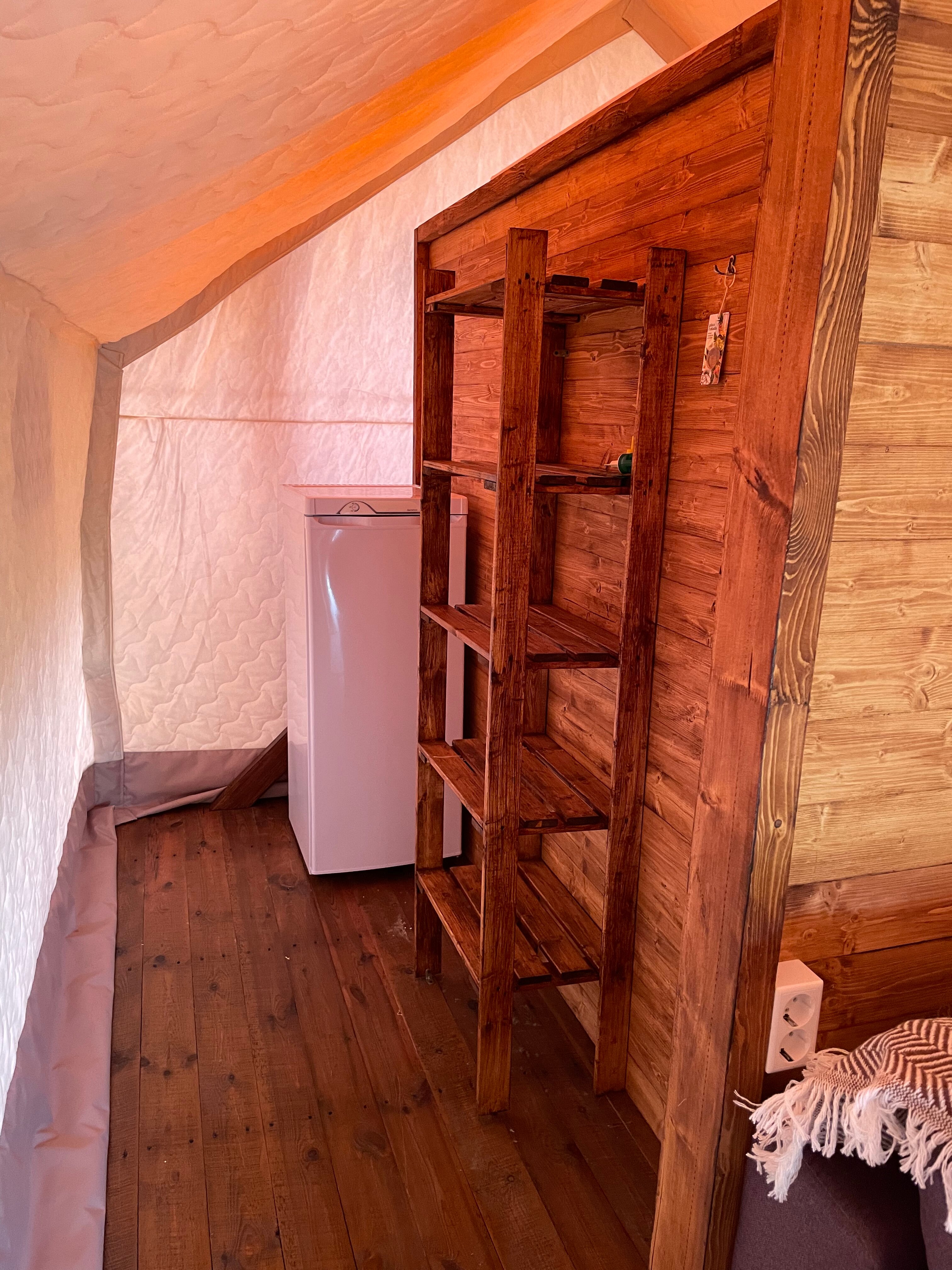 Фото Стрижи