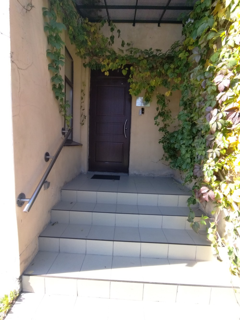 Фото Потёмкин на Шпалерной