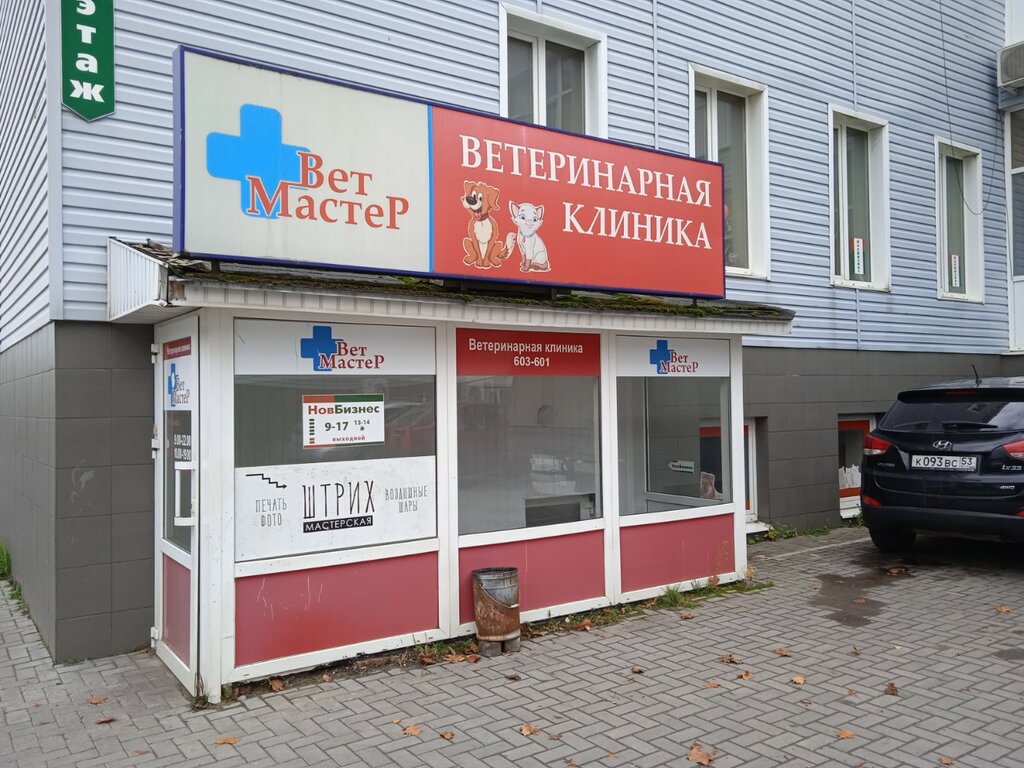 Ветеринарная клиника Ветмастер, Великий Новгород, фото