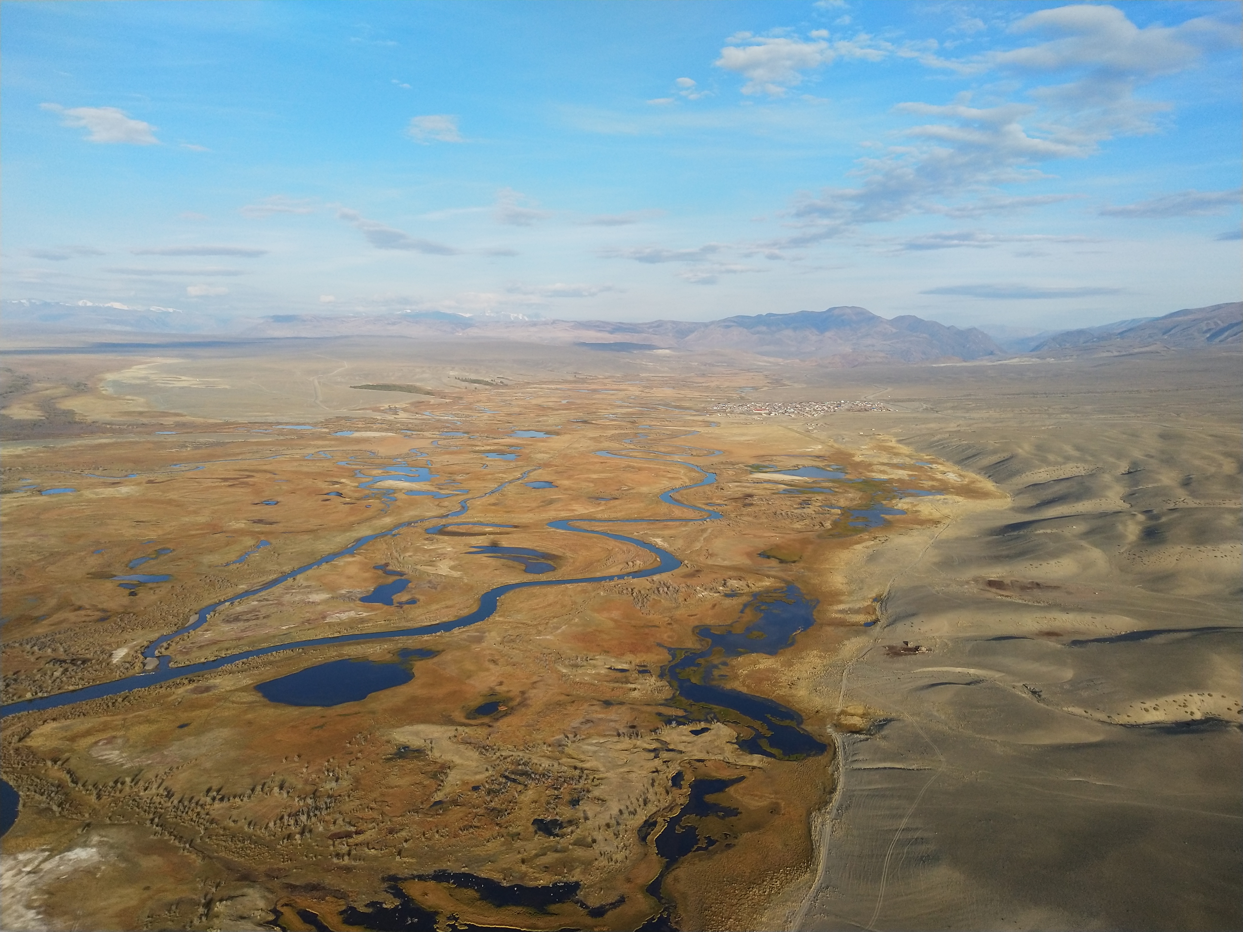 Фото Аррали