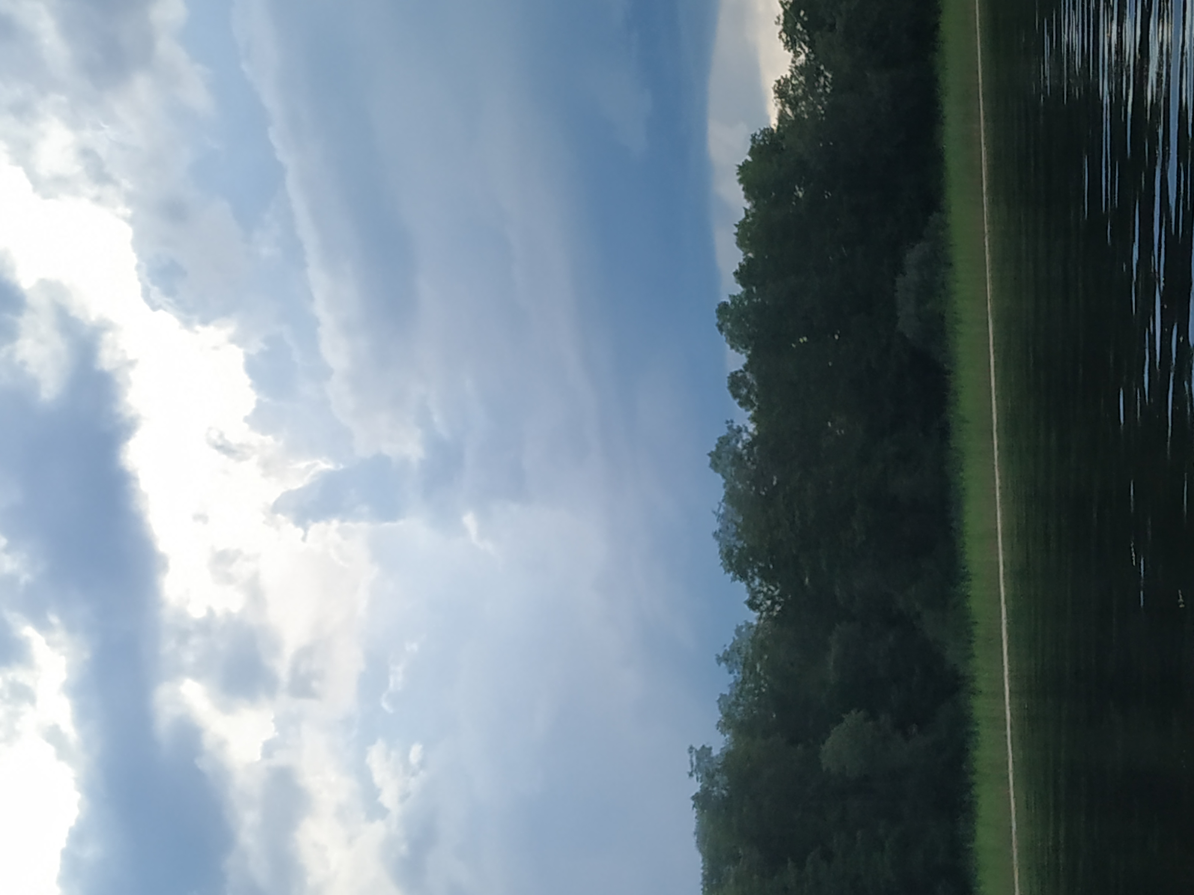 Фото Селигерская пасека