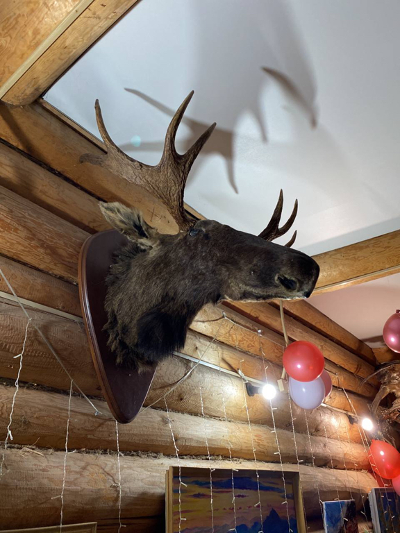 Фото Рябиновый