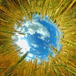 Mir3d (Dostyk Avenue, 105/2), creating of virtual tours and panoramas