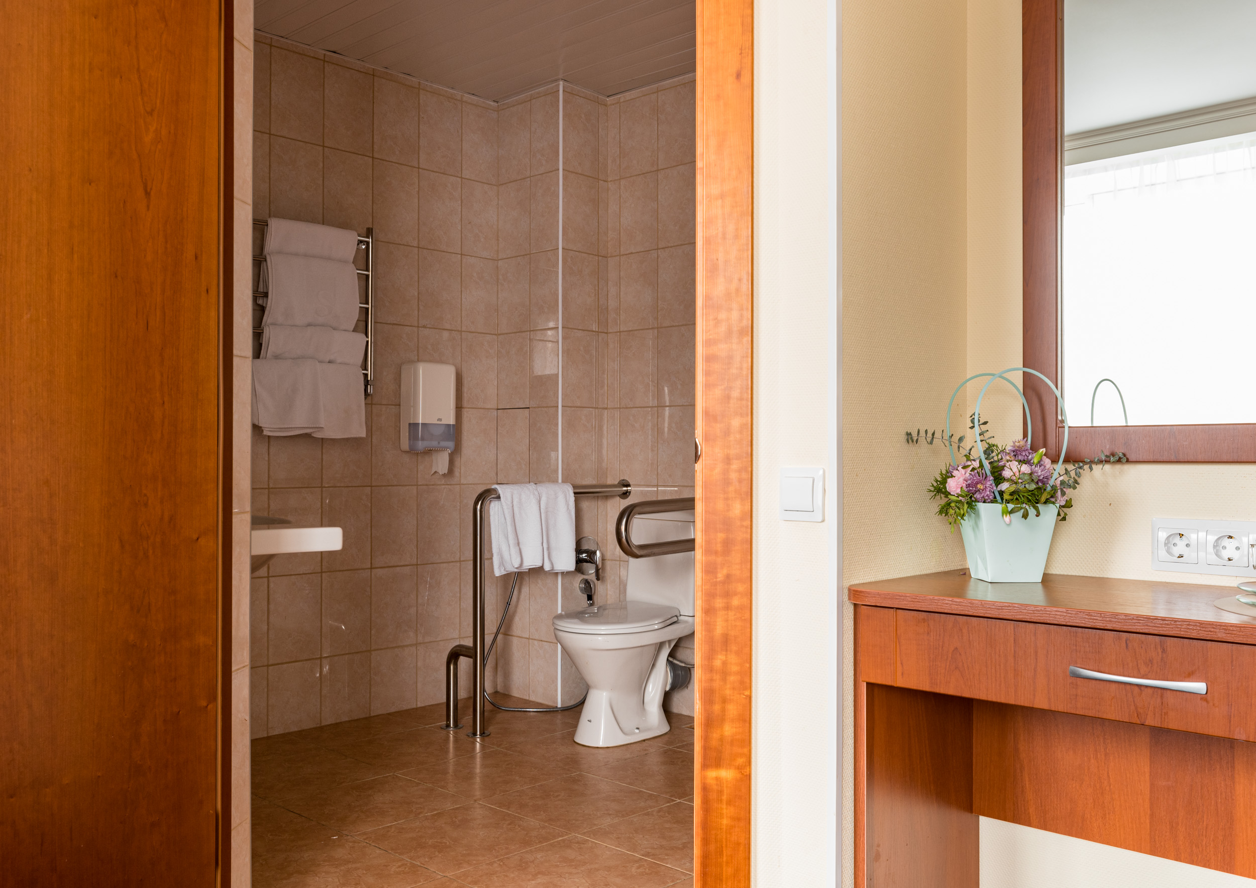 Фото Спутник