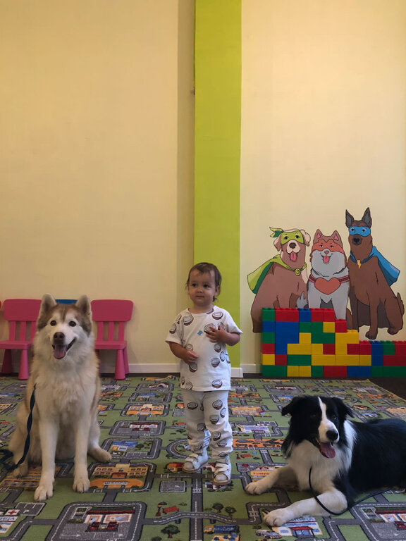Zoo center Кинология для детей и взрослых - Растём с псом, Zelenograd, photo