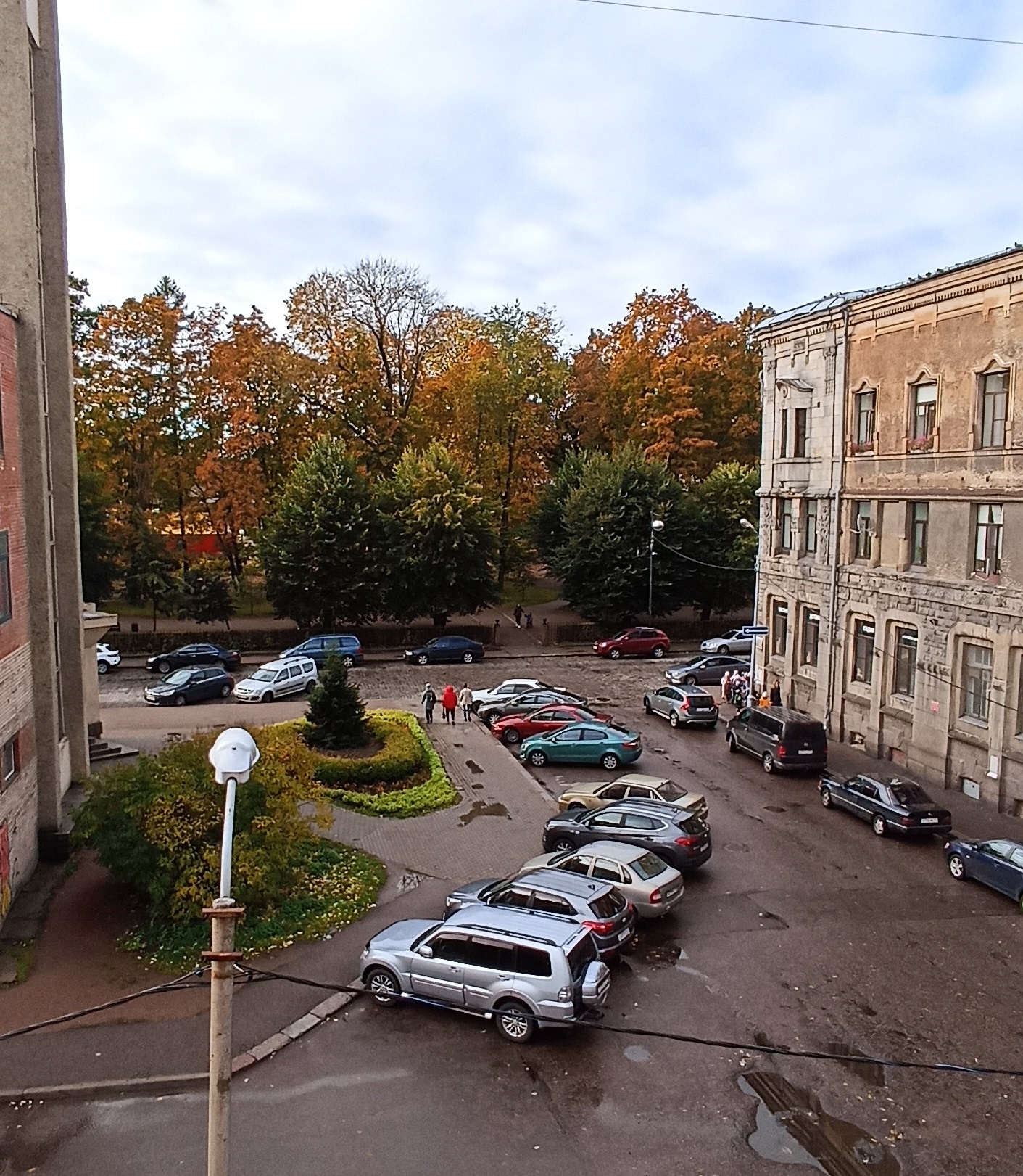 Фото Летучая мышь