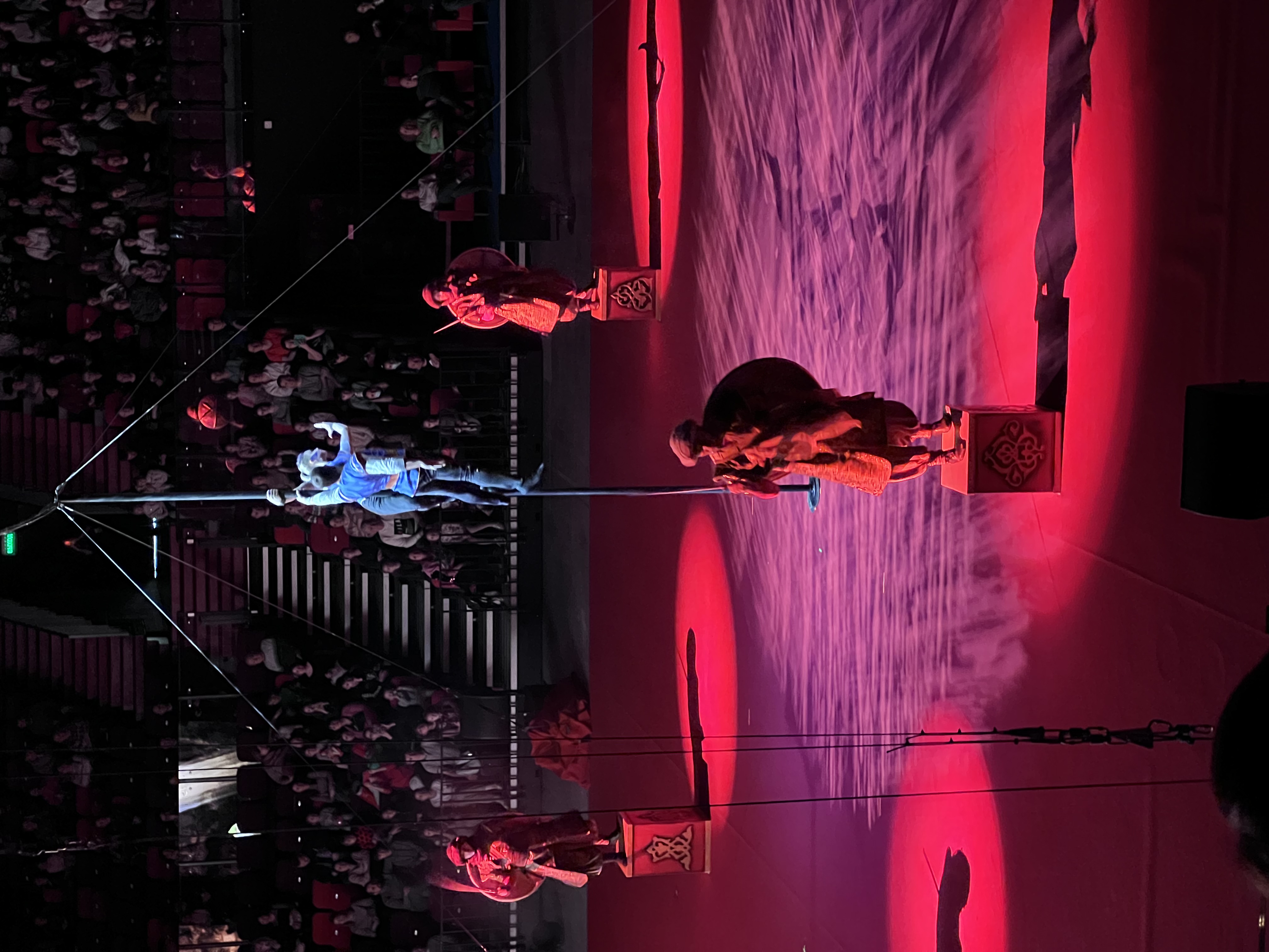 Фото Дворец Ирины Винер