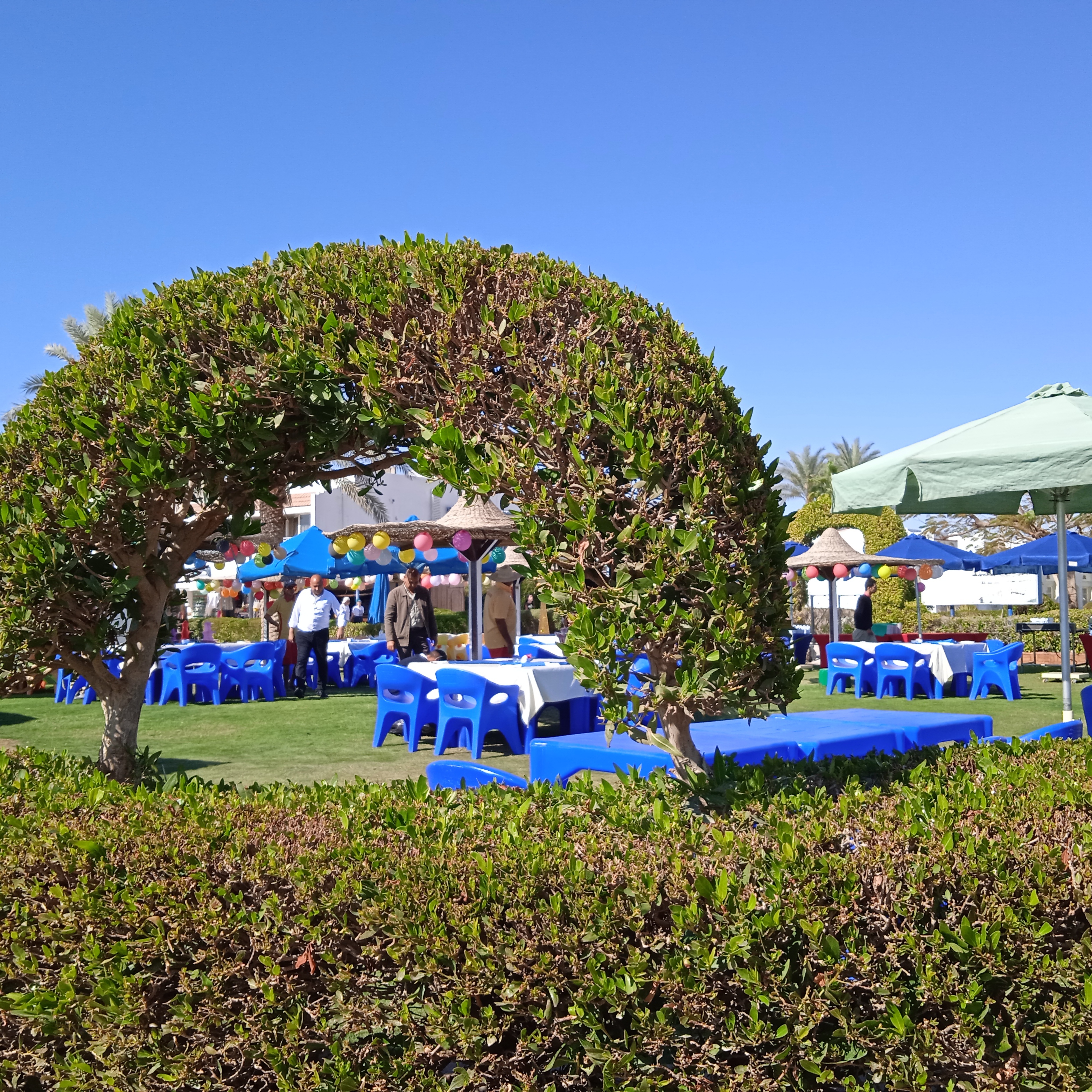 Фото Gafy Resort