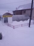 Цветочное счастье (derevnya Pirogovo, Polevaya ulitsa, 2), tienda para jardineros