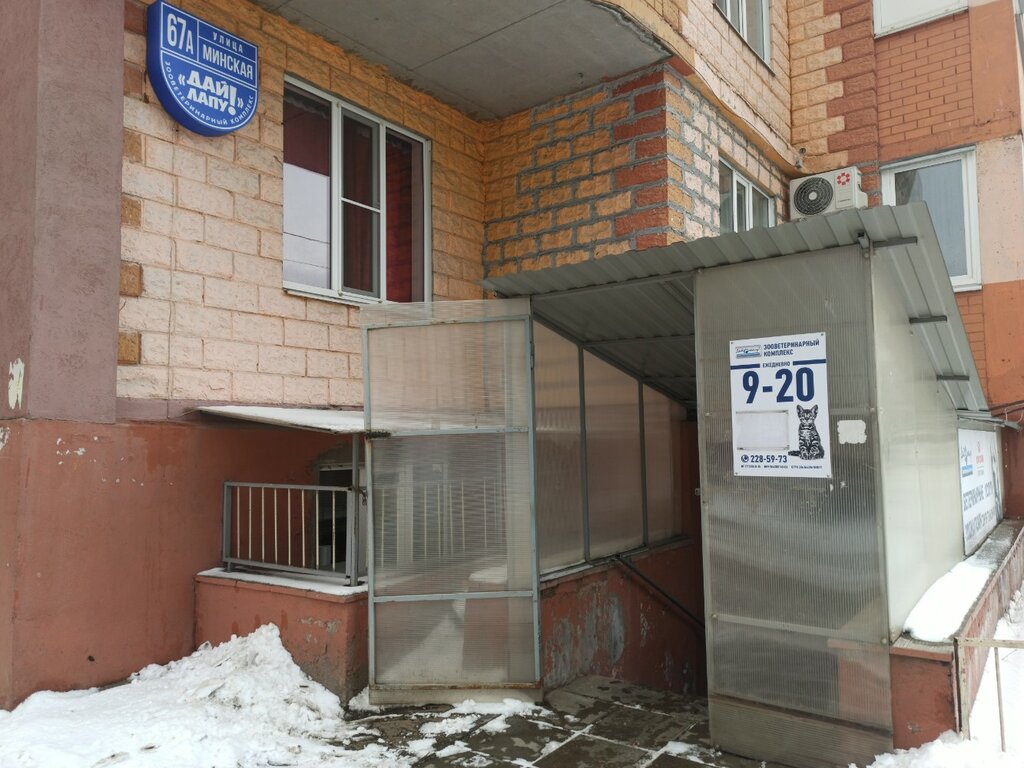 Дай лапу западная ул 22а фото