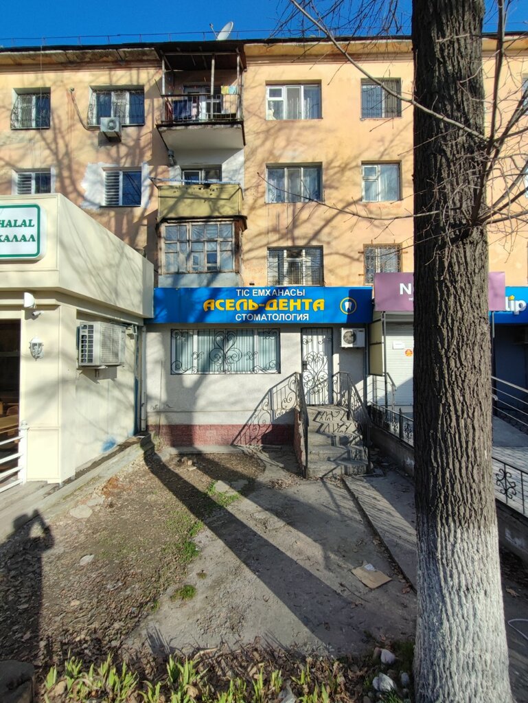 Dental clinic Asel'-denta, Chimkent, photo