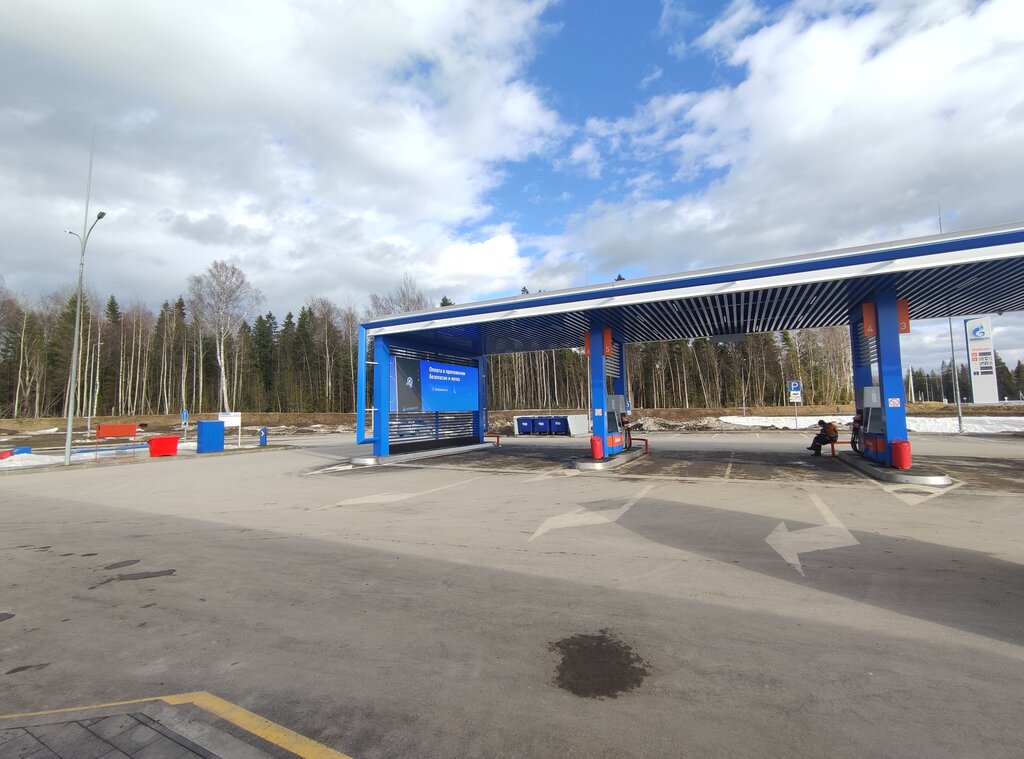 Gas station Gazpromneft, Novgorod Oblast, photo