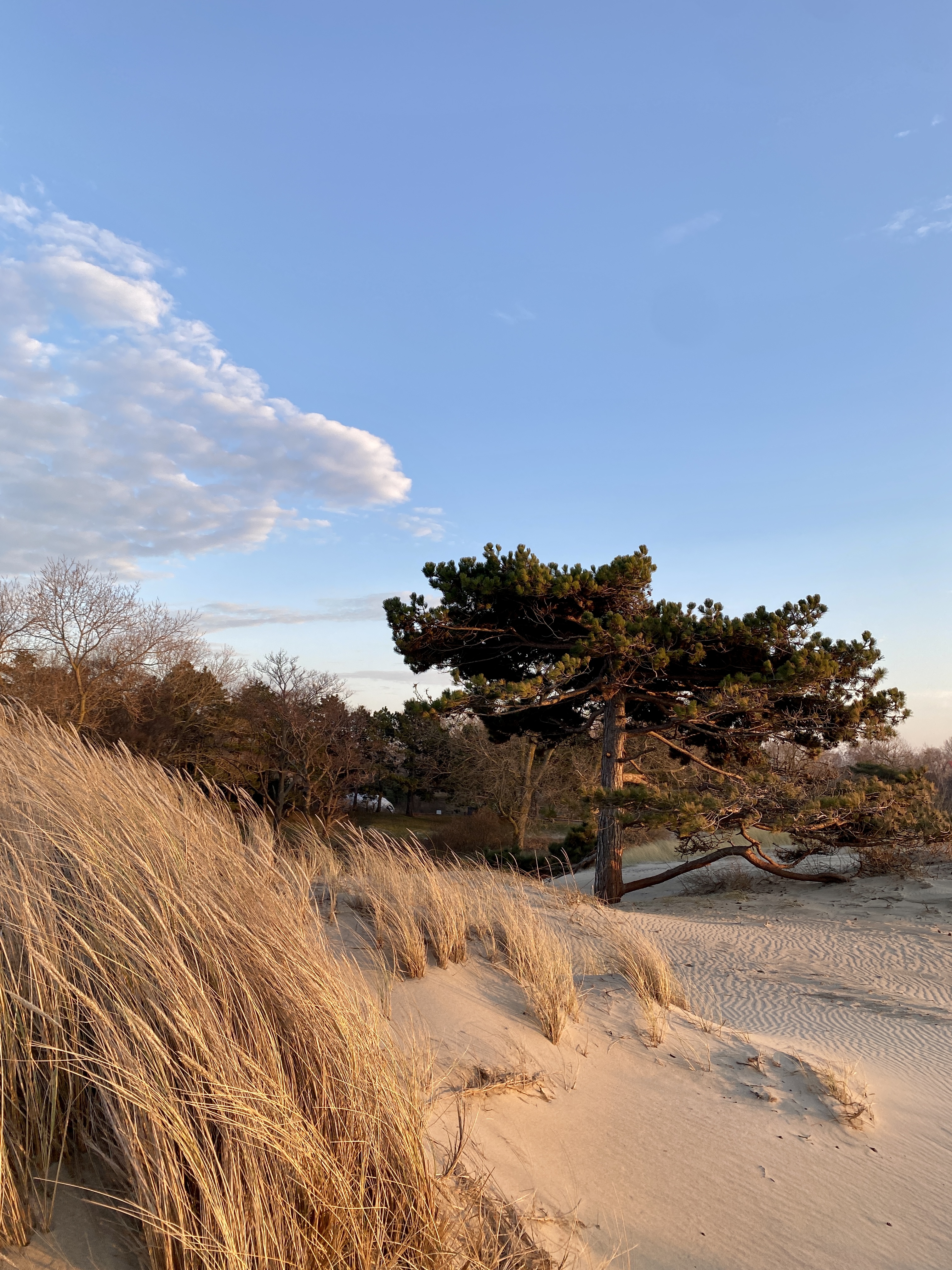Фото Викингуд Глэмпинг