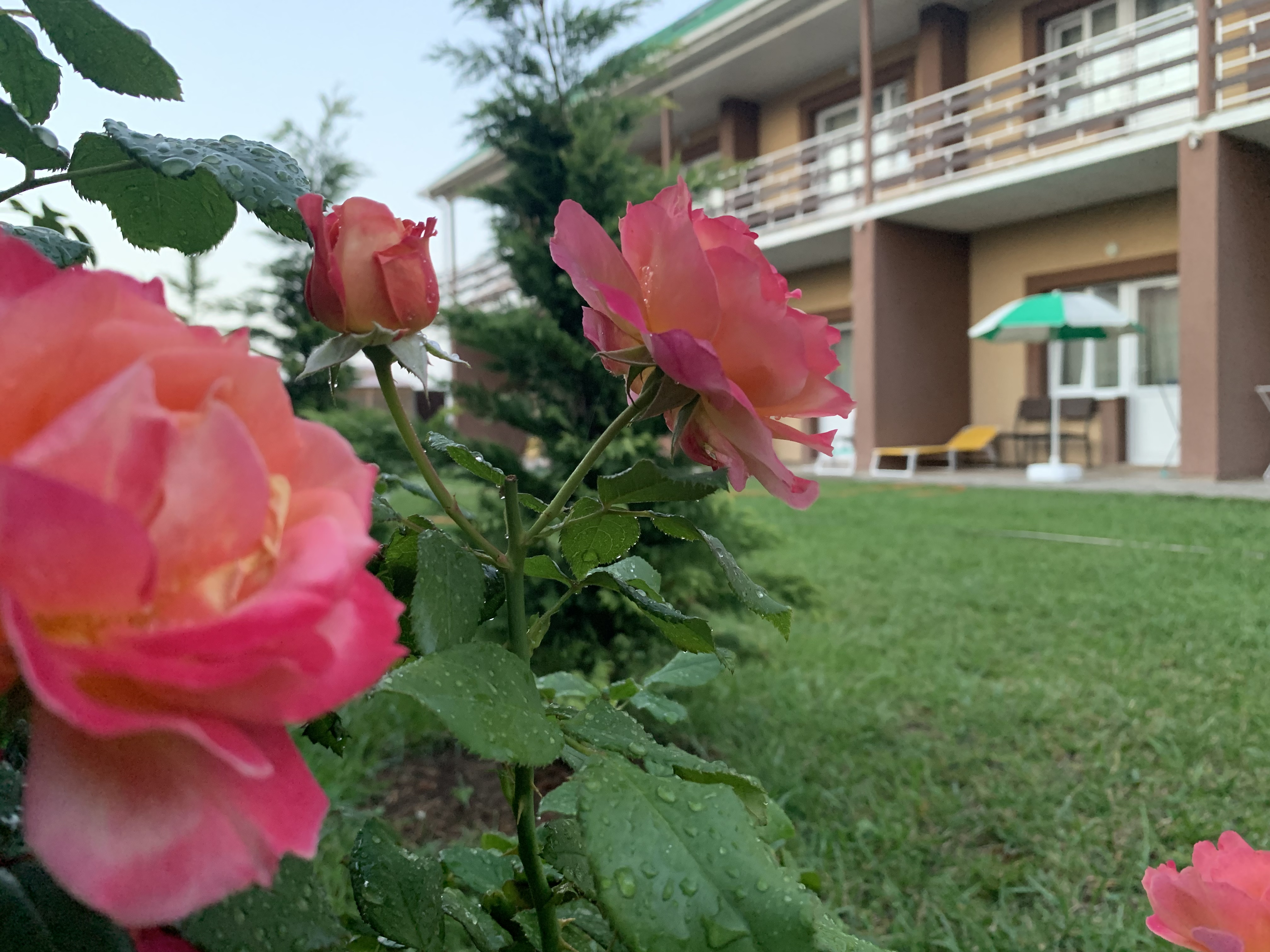 Фото отеля 2