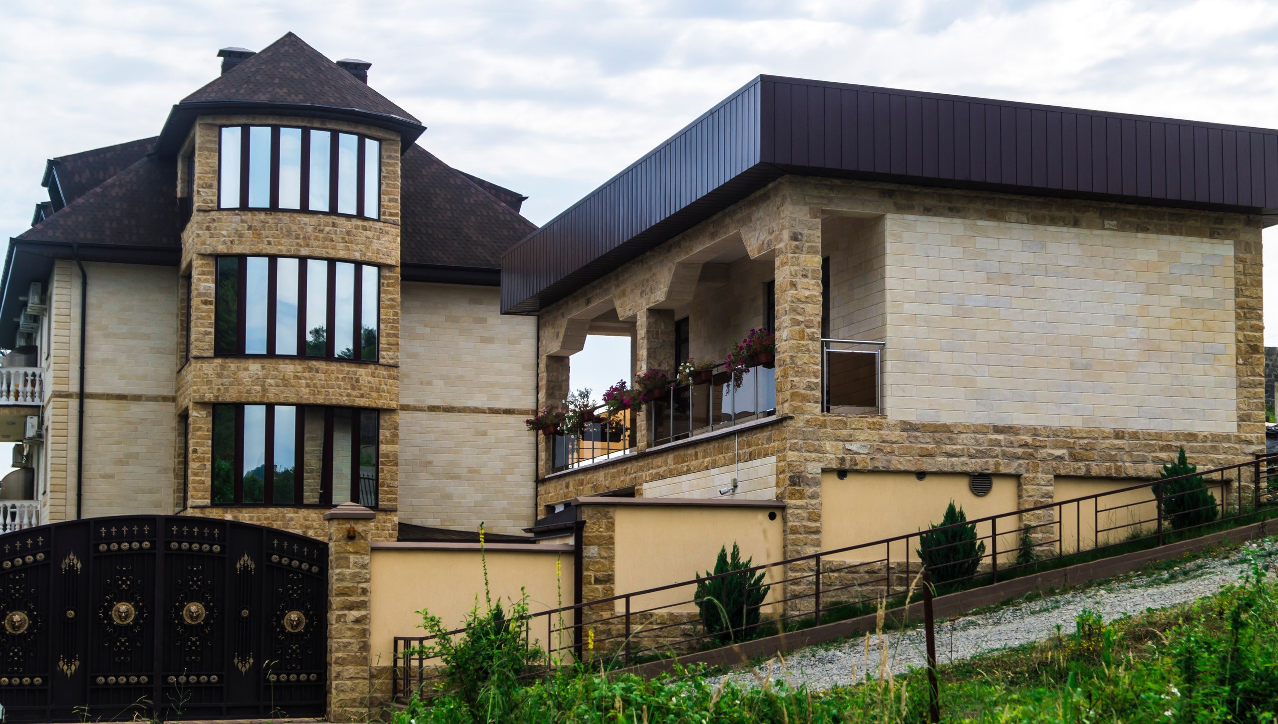 Фото Золотой Лев