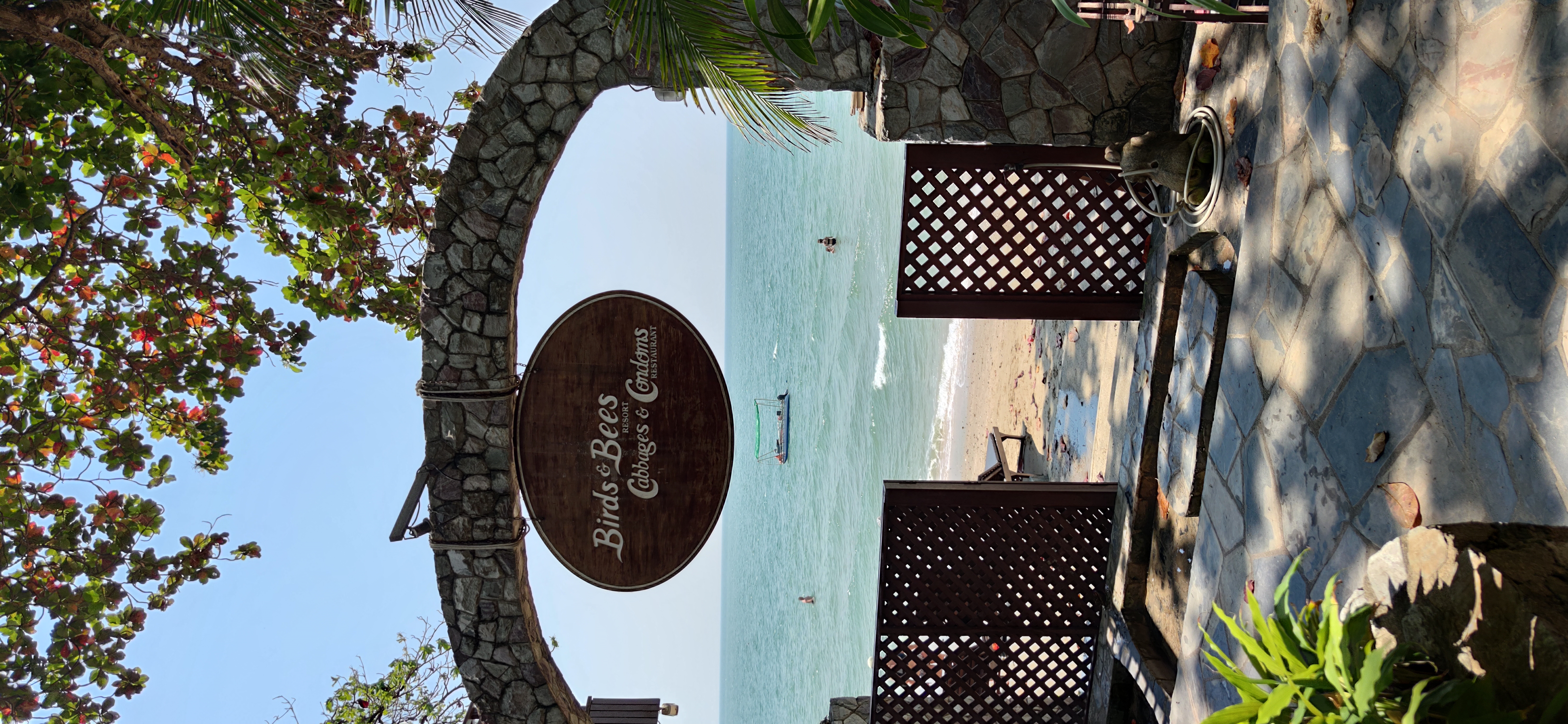 Фото Birds and Bees Resort