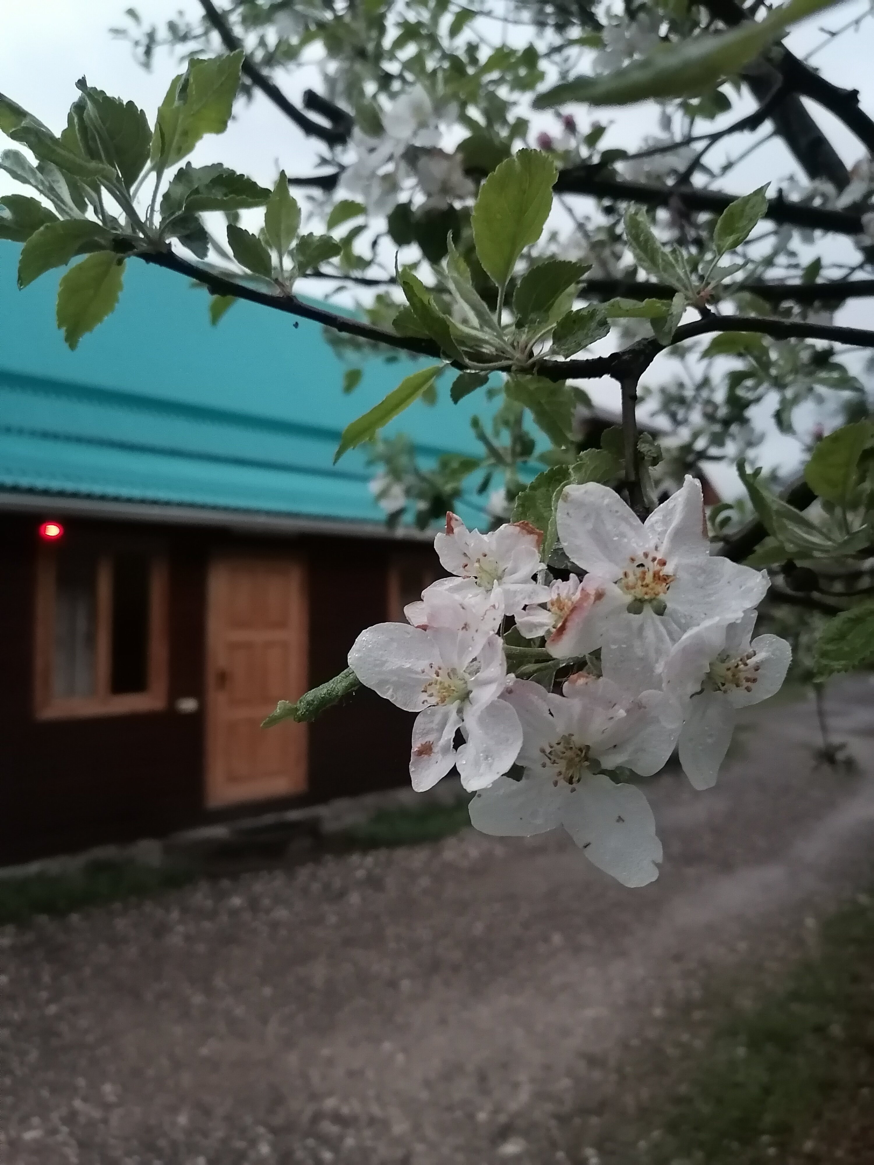 Фото У горы Любава+