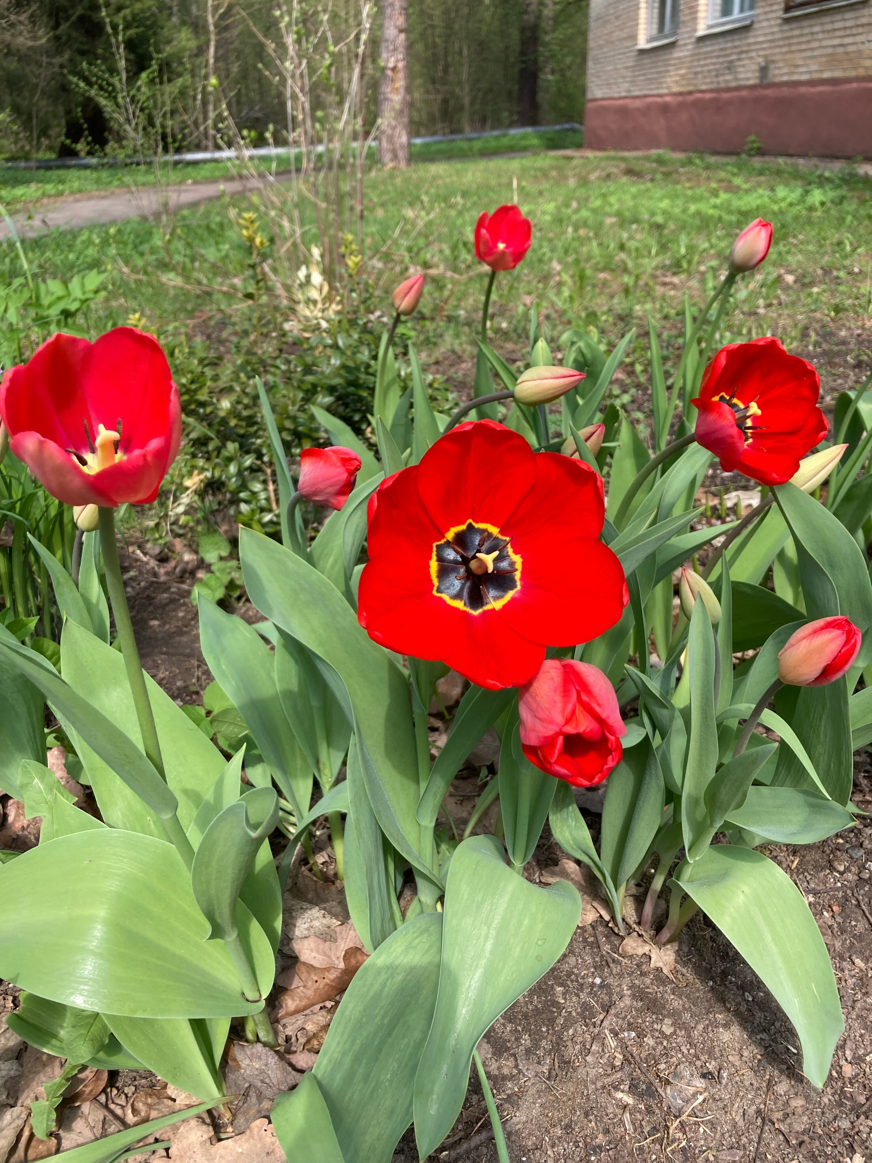 Фото Переделкино