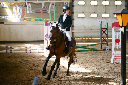 Horse riding Premier, Moscow and Moscow Oblast, photo
