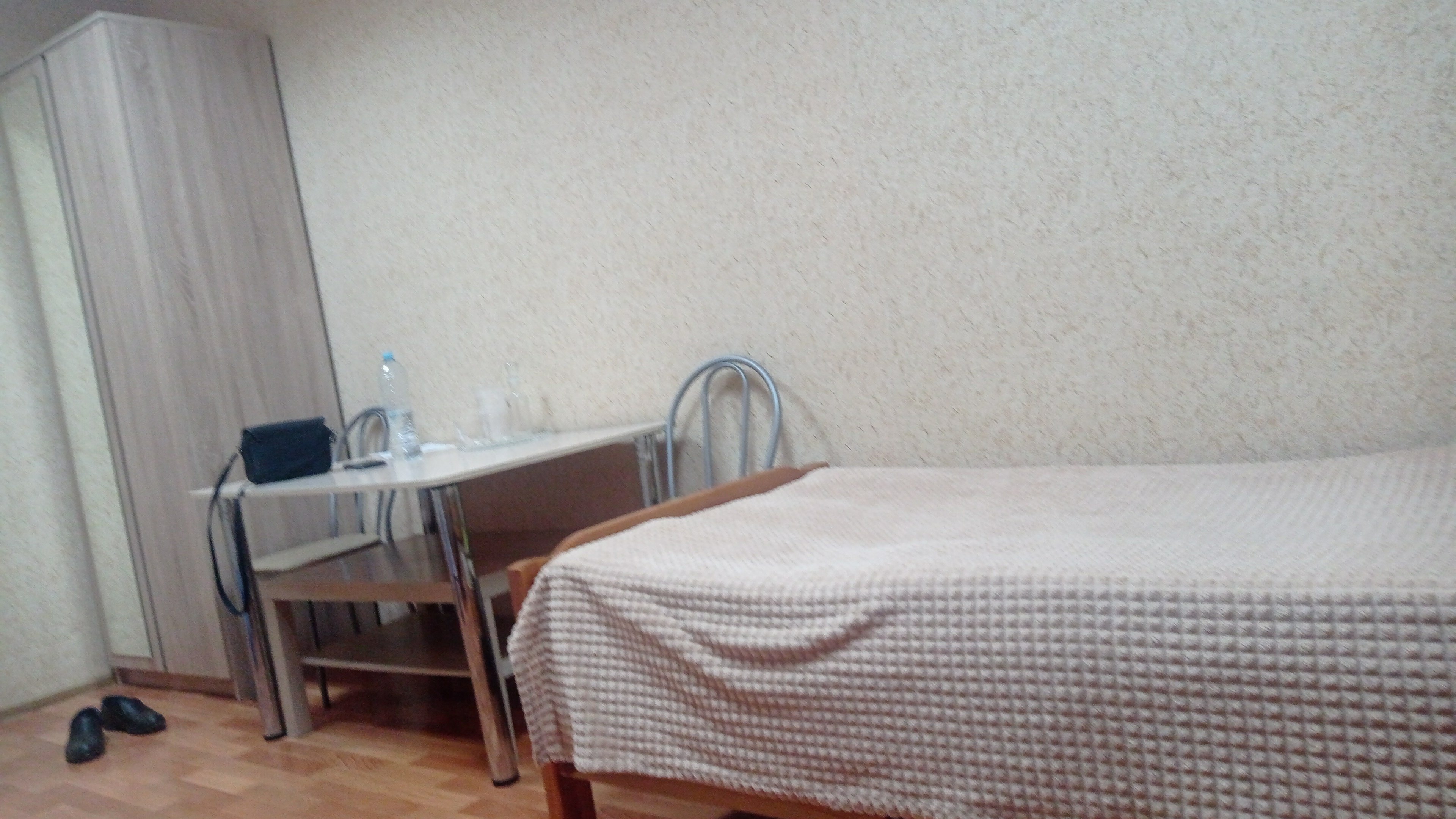 Фото Ромашка