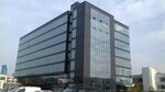 Арес (Vereyskaya Street, 29) ، رياضة التسلق