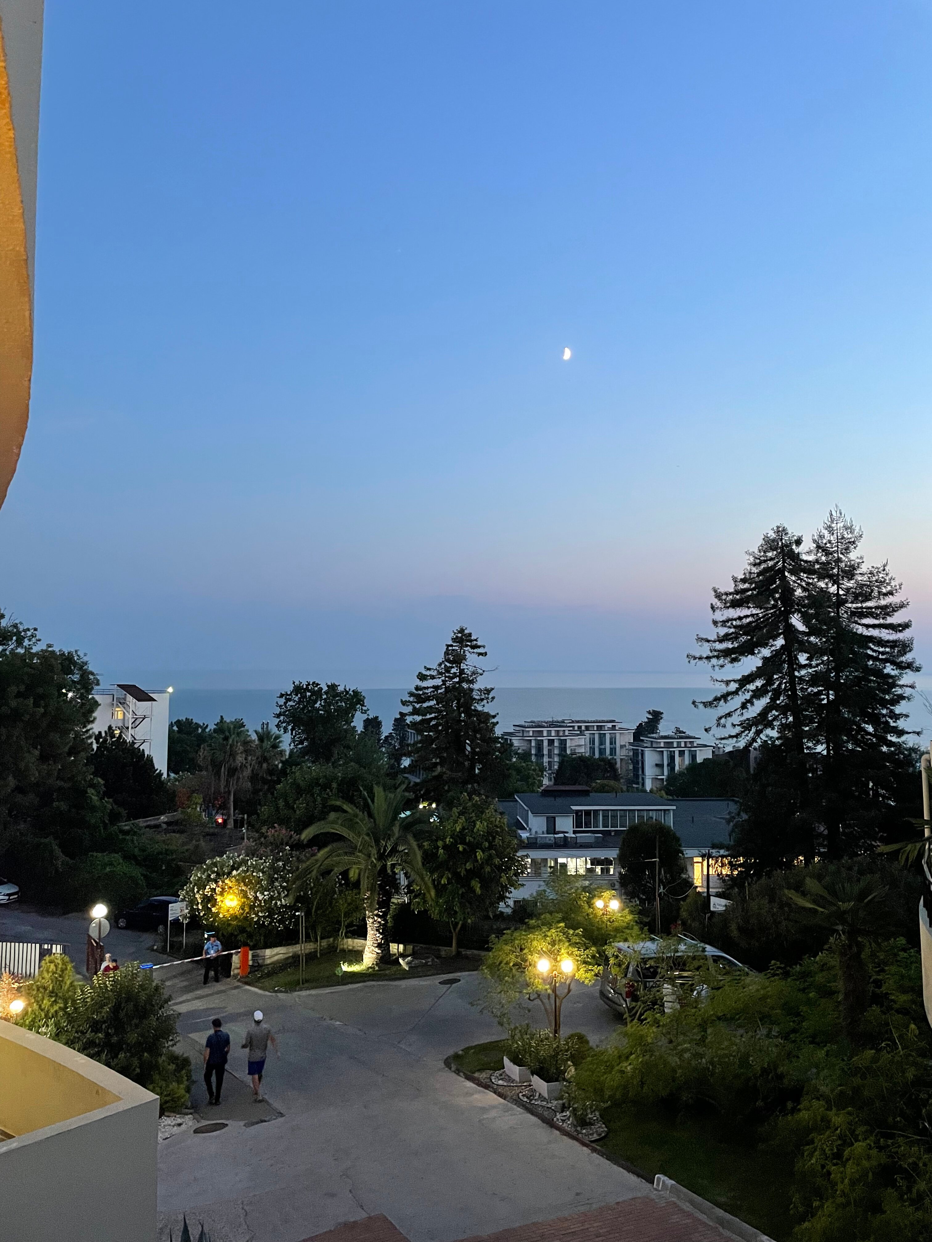 Фото Дивный