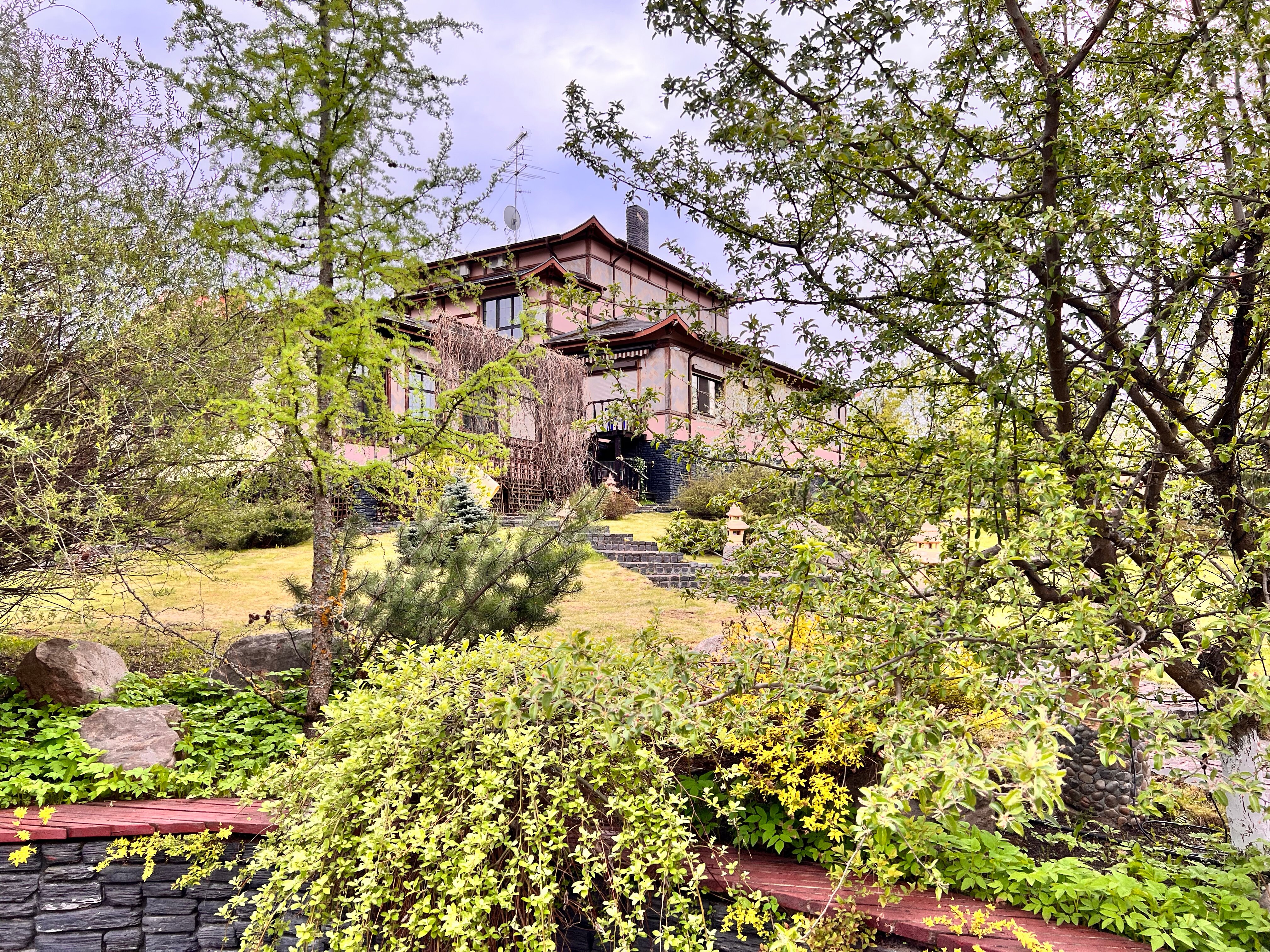 Фото Чайна Таун