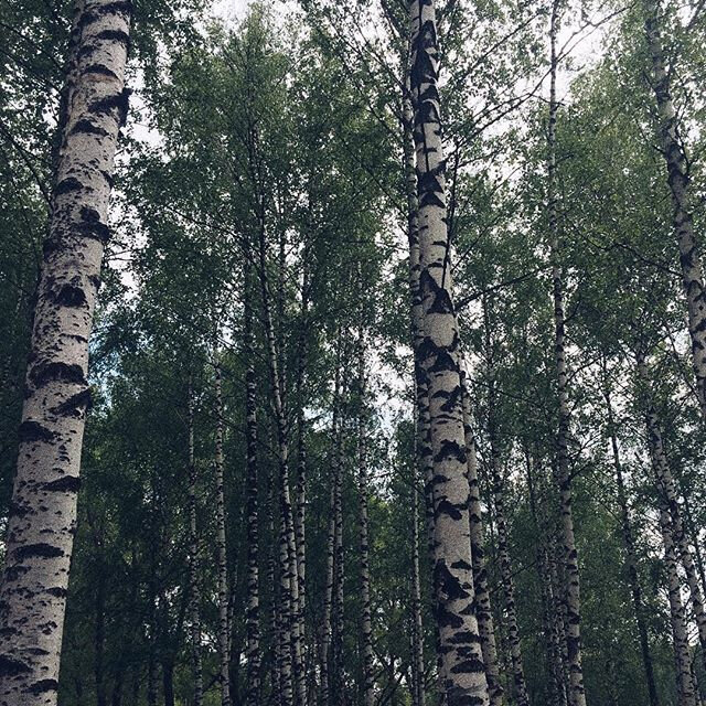 Фото Роща невест