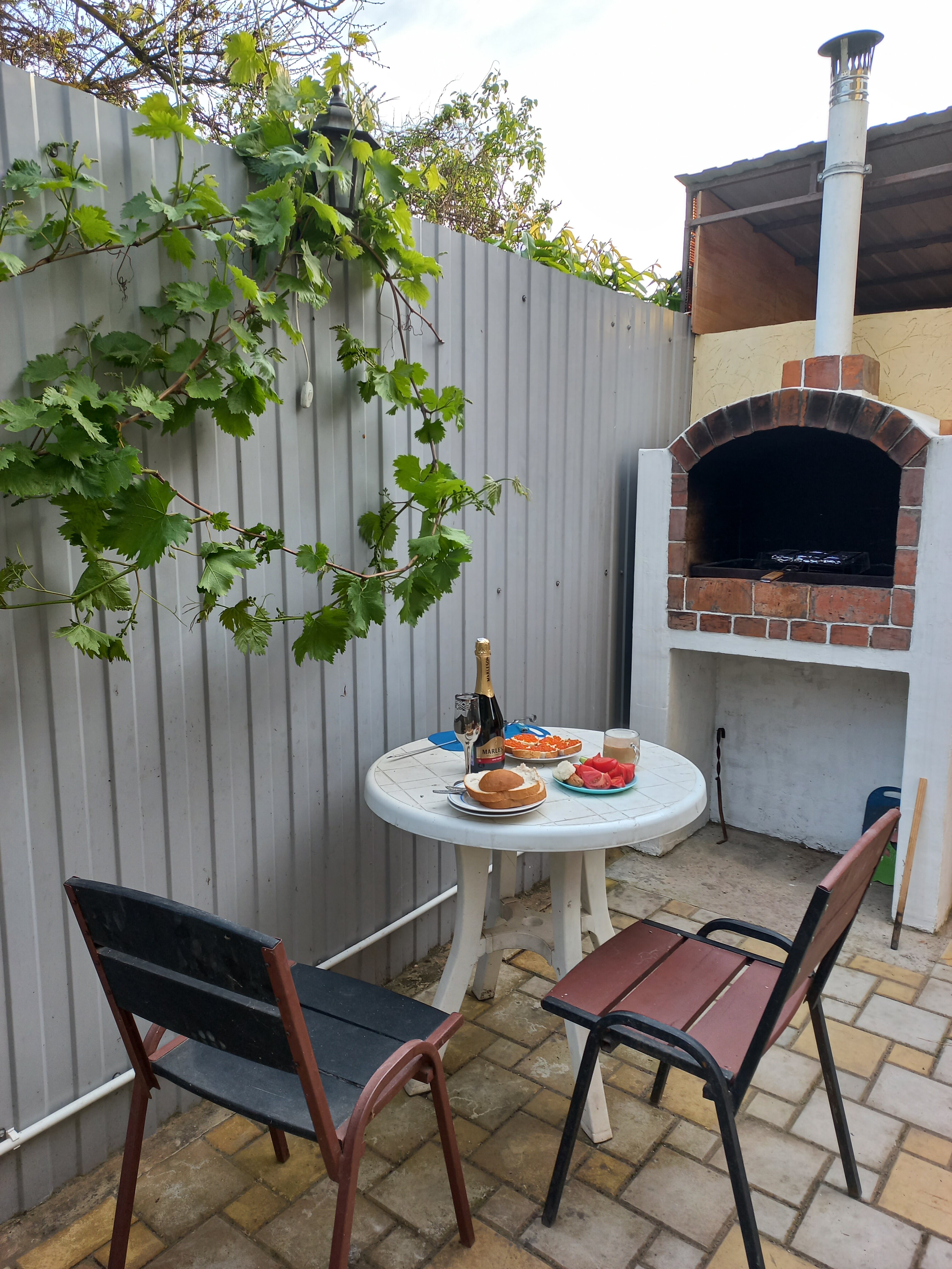 Фото Кипарис