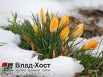 Vlad-Khost (Komsomolskaya ulitsa, 36), website hosting