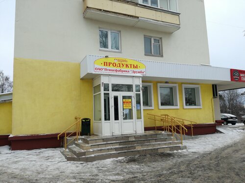 Лизы чайкиной форд