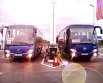Транспортная компания Автобус-36 (ул. Серафимовича, 32, Воронеж), автобусные перевозки в Воронеже