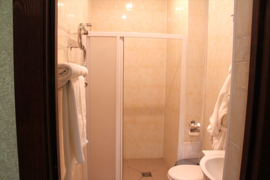 Фото Зеленая роща