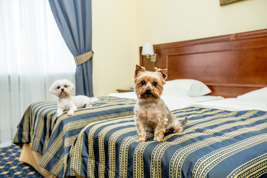 Фото Волгоград