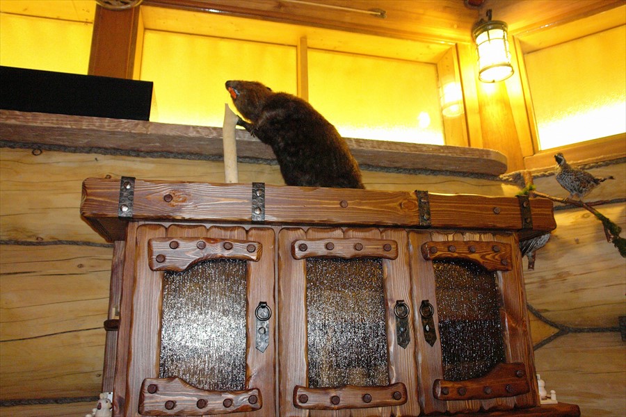 Фото Усадьба Терема