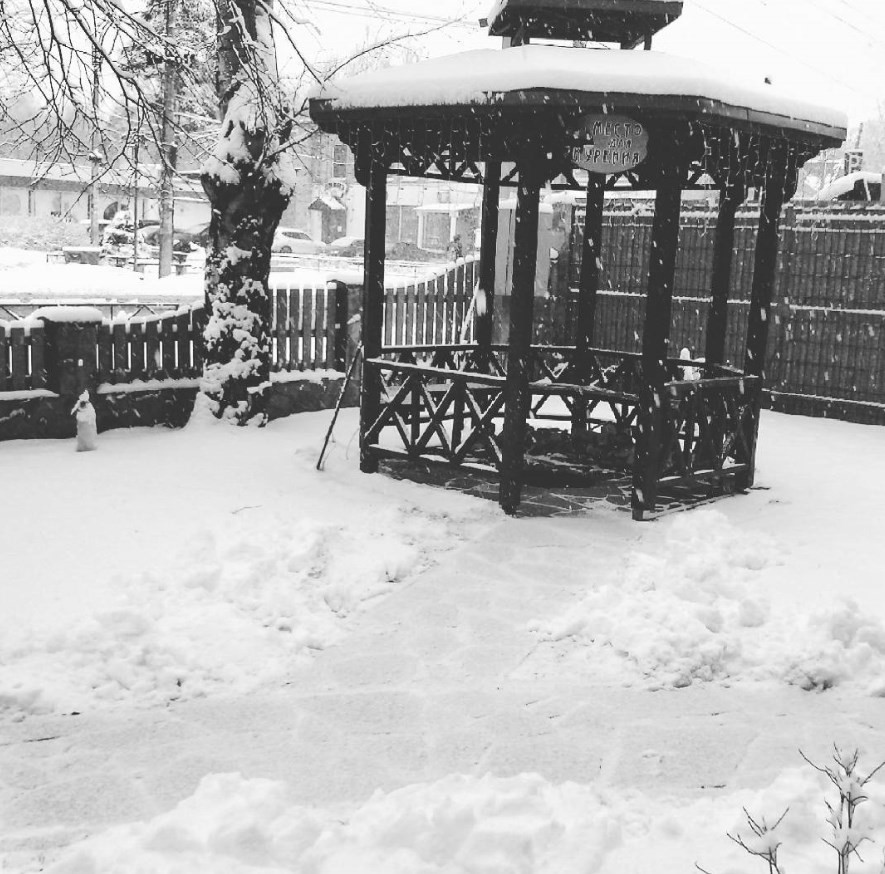 Фото Ближние Дубки