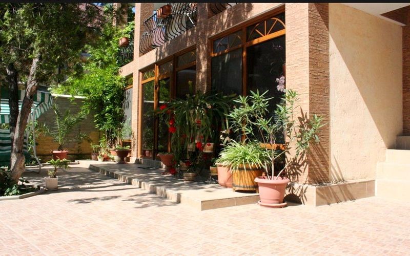 Фото Орхидея