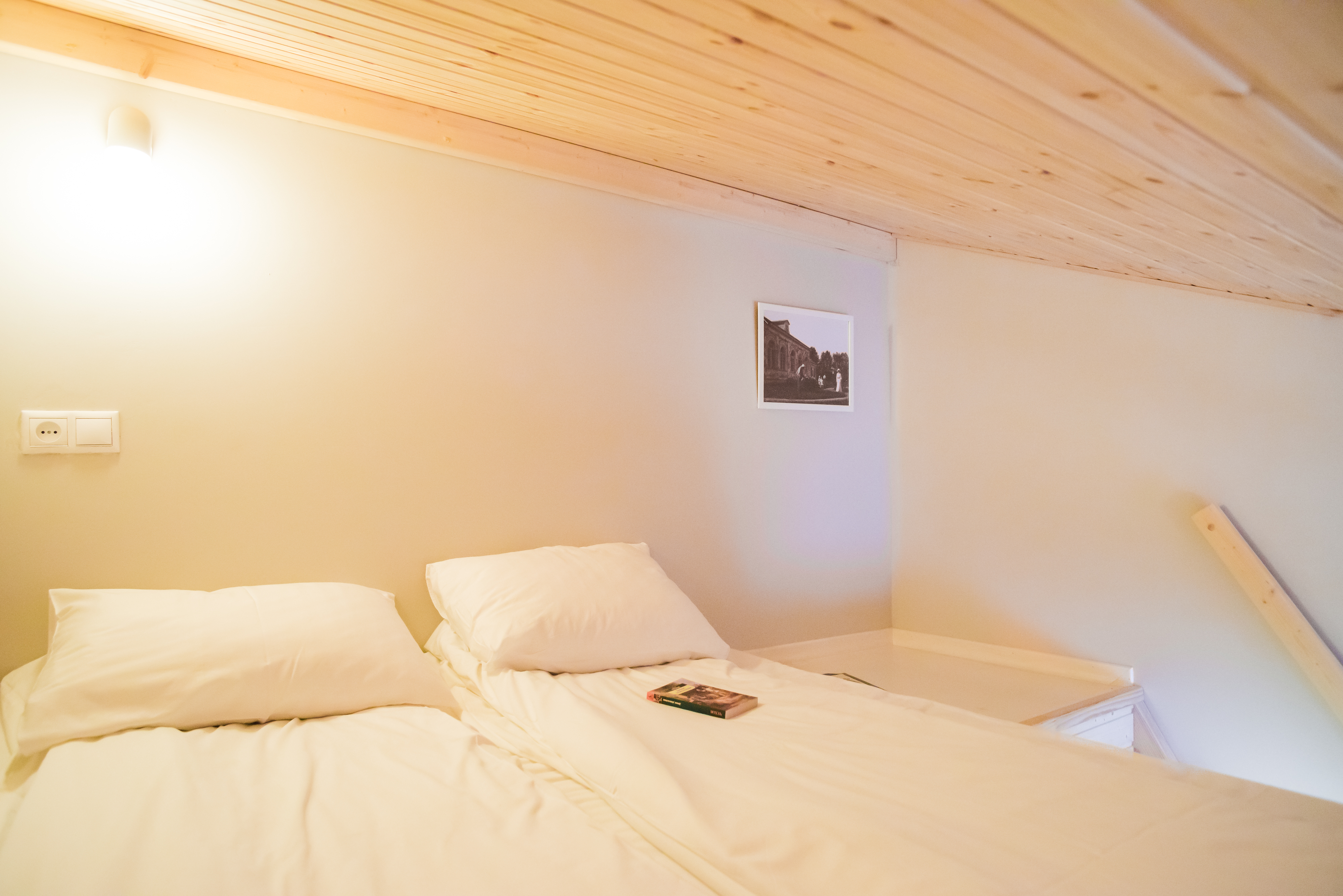 Фото Дачники