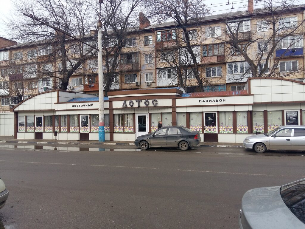 Магазин Лотос Режим Работы