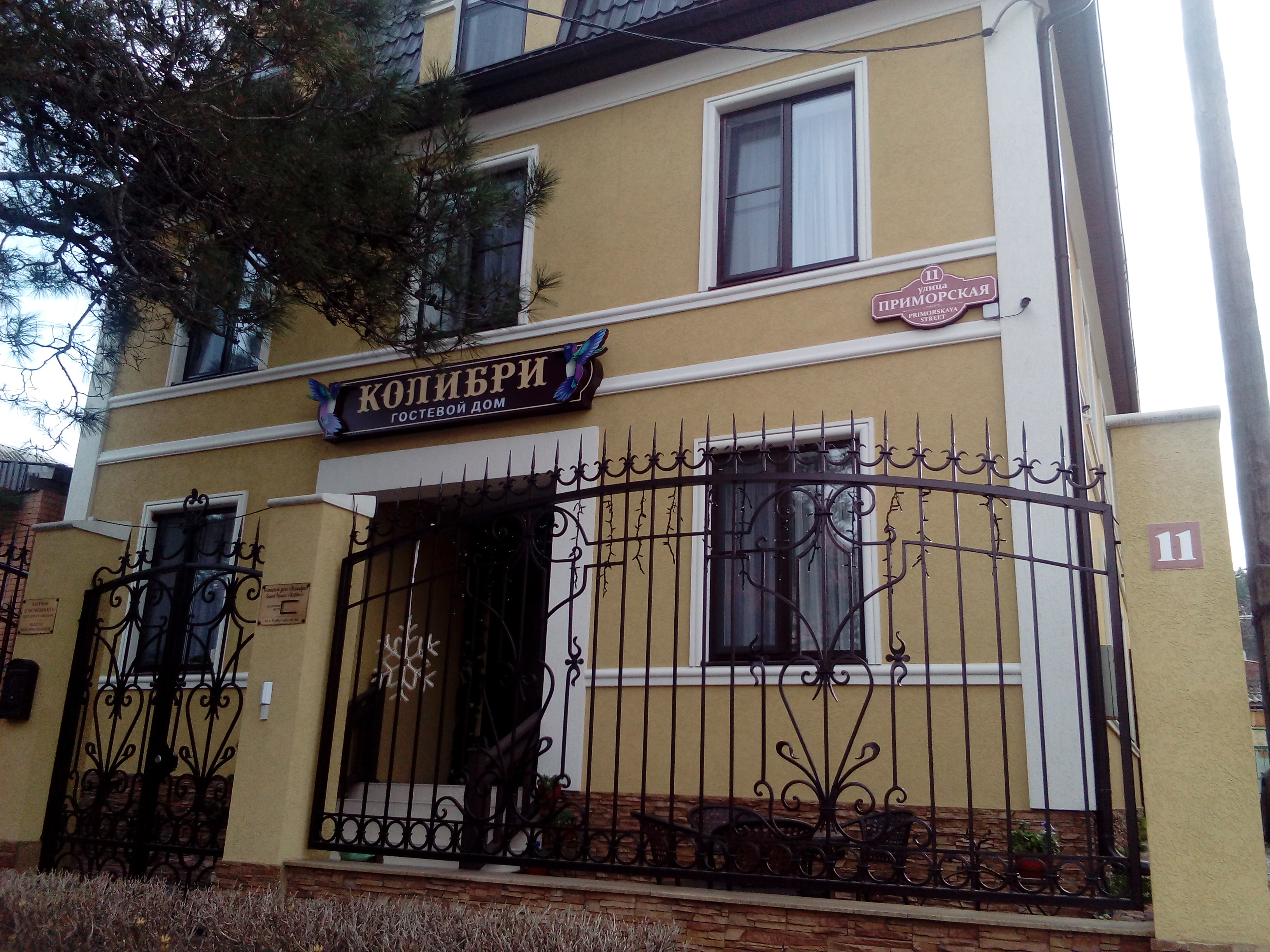 Фото Колибри