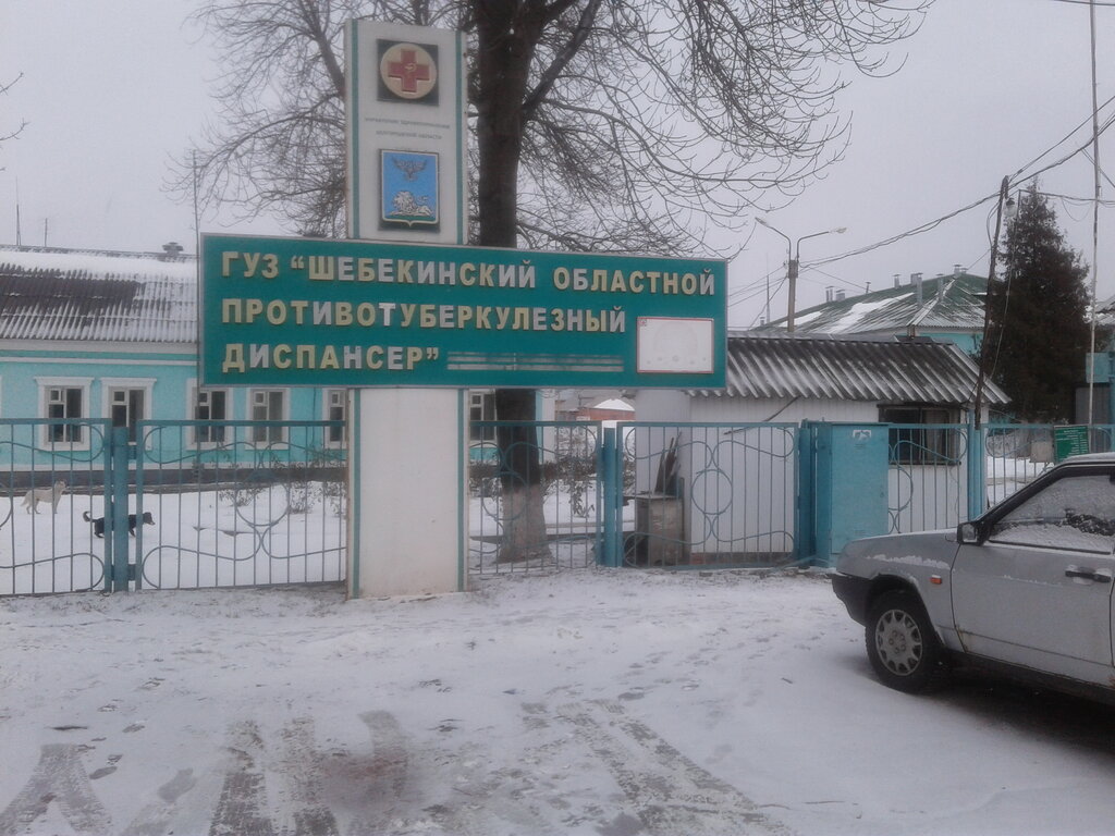 Dispensario Шебекинский противотуберкулезный диспансер, , foto