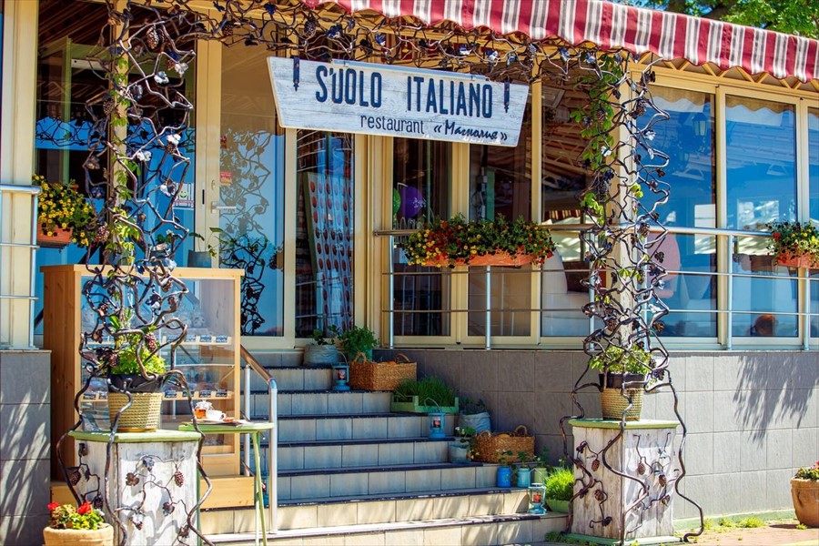 Фото Магнолия