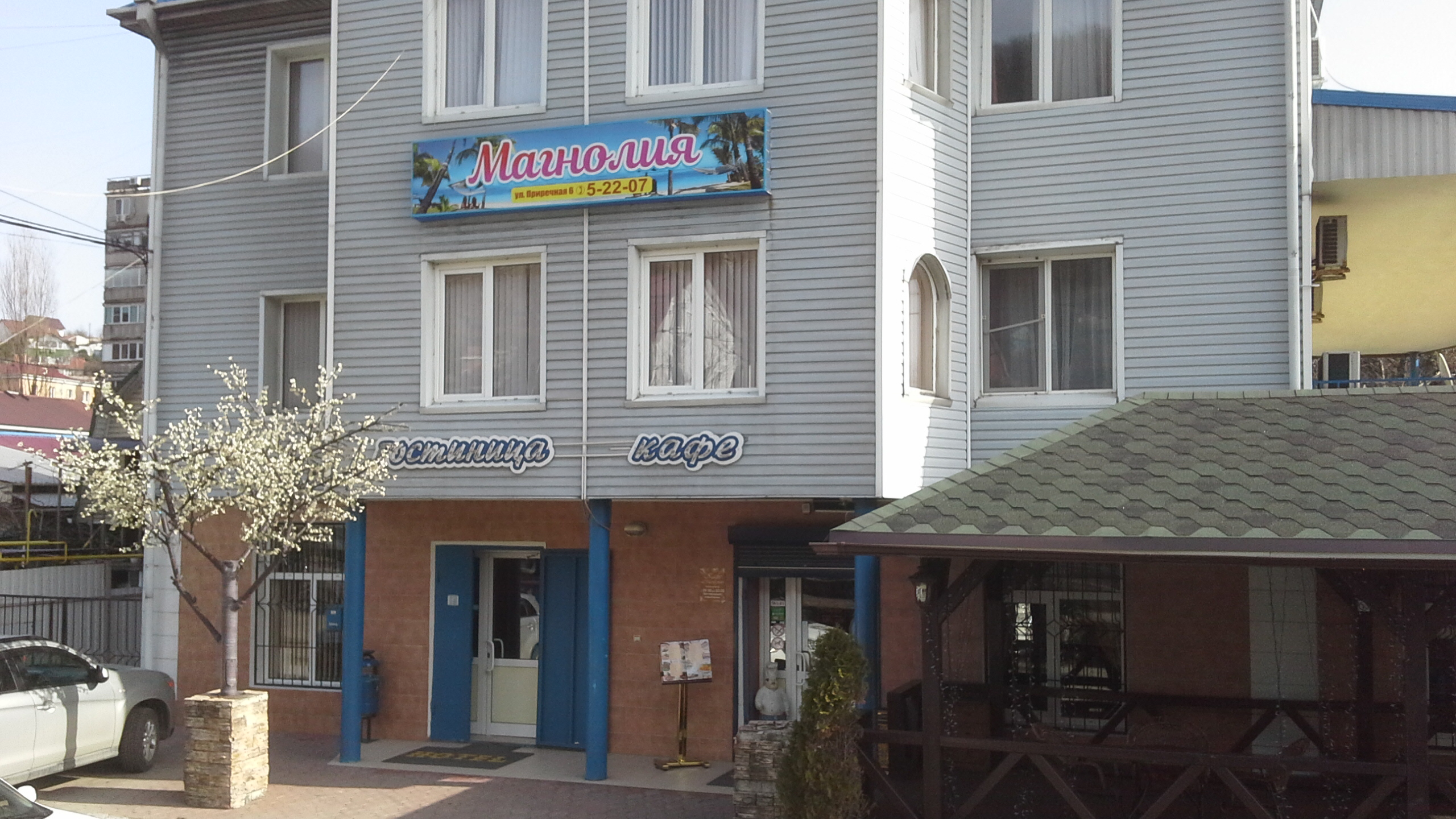 Фото Магнолия