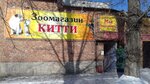 Веселый кот (Sotsialisticheskaya ulitsa, 48/1), pet shop