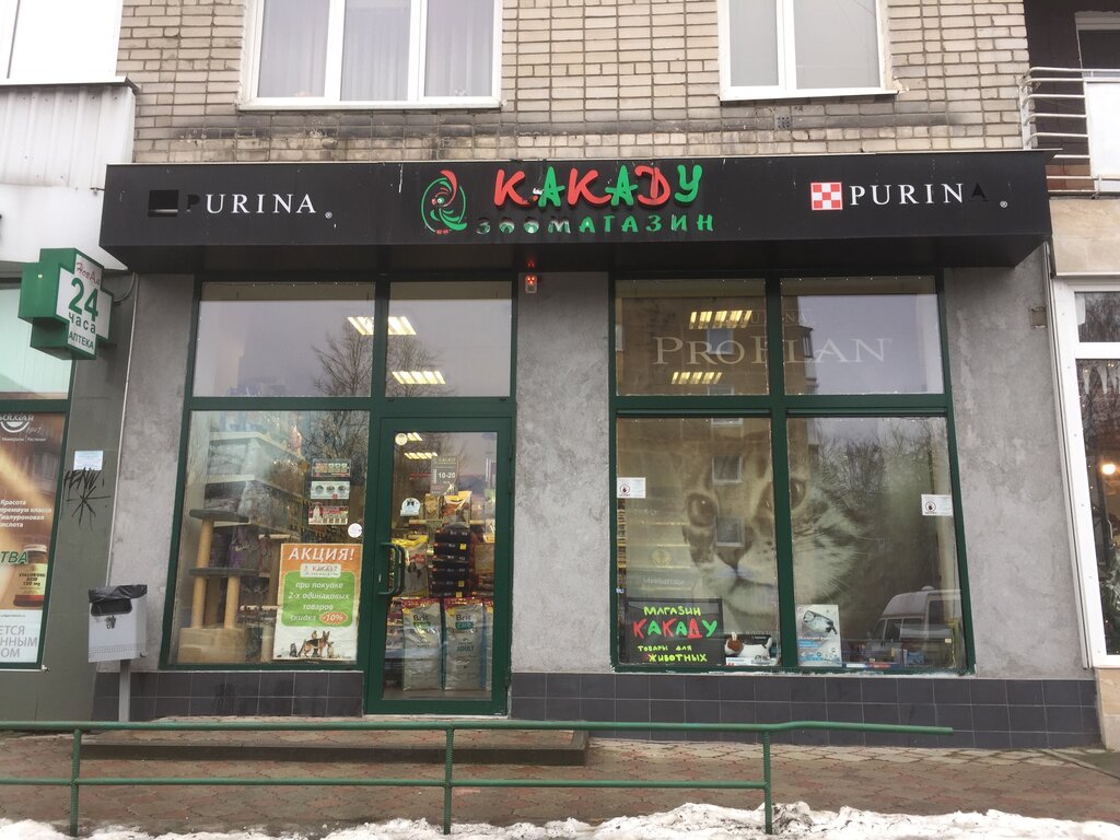 Магазин Какаду В Калининграде Каталог Товаров