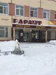Garant-Servis (prospekt Lenina, 14А), audio and video devices repair