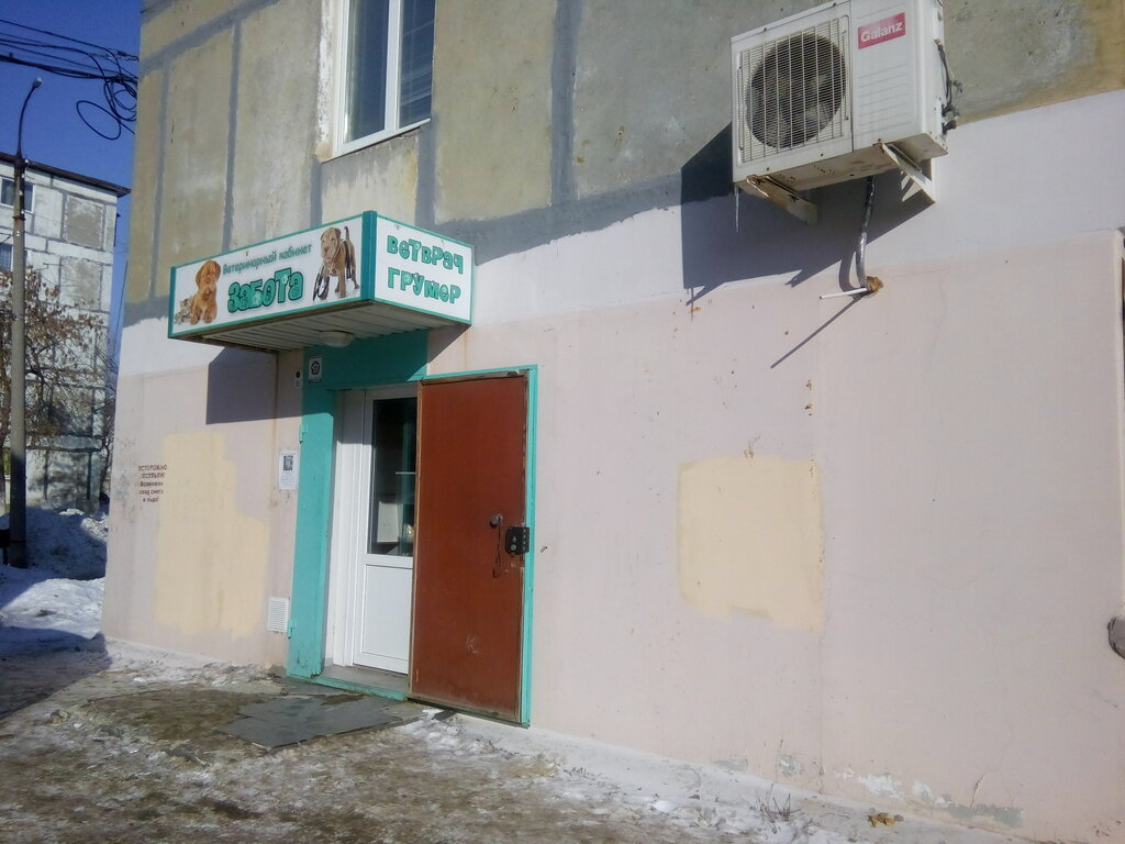 Клиника забота новокуйбышевск ветеринарная
